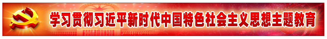 学习贯彻习近平新时代中国特色社会主义思想主题教育