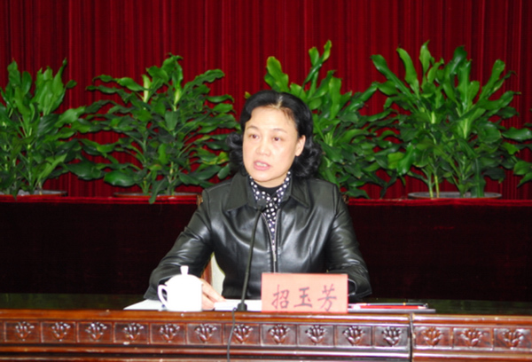 副省长招玉芳主持会议