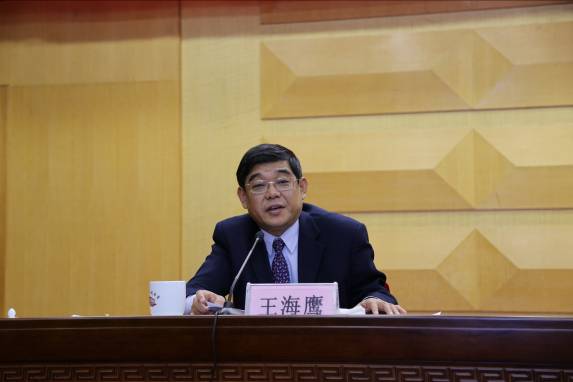 河南省台办主任王海鹰作工作报告.
