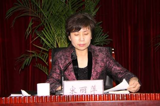 河南省台办主任宋丽萍做2011年全省对台工作报告